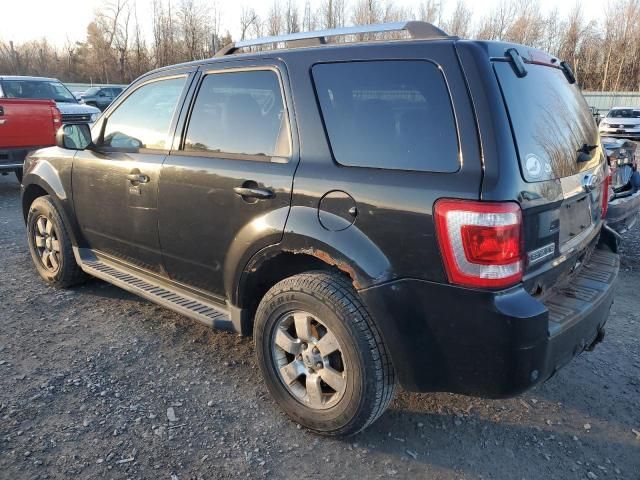 2011 Ford Escape Limited