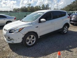 Ford Escape Vehiculos salvage en venta: 2016 Ford Escape SE