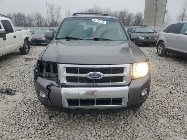 2011 Ford Escape Limited