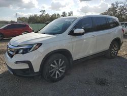 Salvage cars for sale at Riverview, FL auction: 2019 Honda Pilot EXL