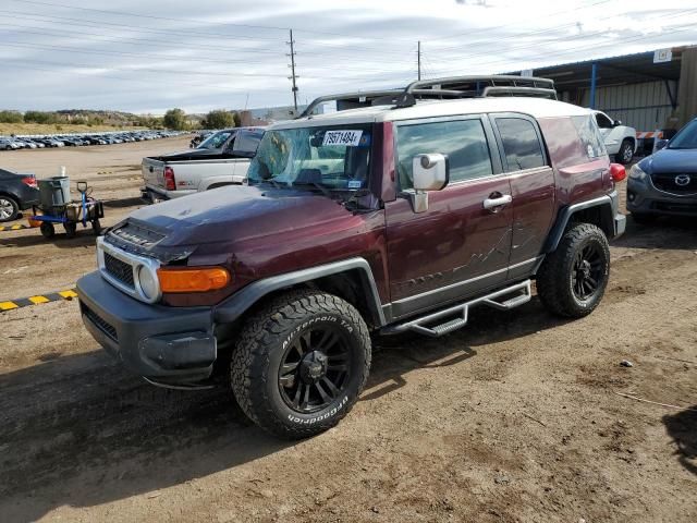 2007 Toyota FJ Cruiser