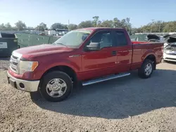 Ford Vehiculos salvage en venta: 2014 Ford F150 Super Cab