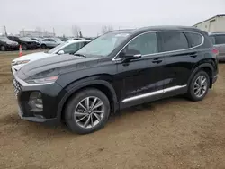 Salvage cars for sale at Rocky View County, AB auction: 2020 Hyundai Santa FE SEL