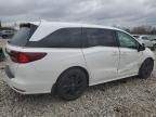 2023 Honda Odyssey SPORT-L