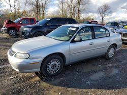 Carros salvage sin ofertas aún a la venta en subasta: 2004 Chevrolet Classic