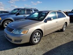 Toyota salvage cars for sale: 2002 Toyota Avalon XL