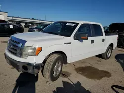 Salvage cars for sale at Harleyville, SC auction: 2011 Ford F150 Supercrew