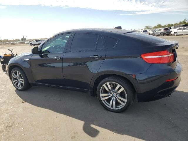 2010 BMW X6 M