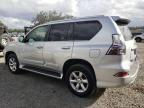 2015 Lexus GX 460