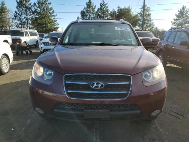 2007 Hyundai Santa FE SE