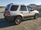 2004 Ford Escape XLT