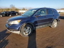 Salvage cars for sale from Copart Columbia Station, OH: 2011 Honda CR-V EXL