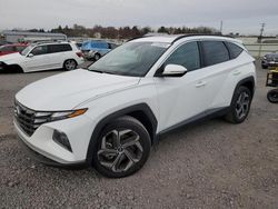 Salvage cars for sale at Pennsburg, PA auction: 2024 Hyundai Tucson SEL