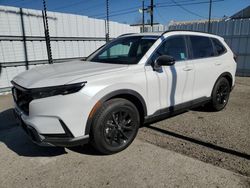 Salvage cars for sale at Sun Valley, CA auction: 2025 Honda CR-V Sport