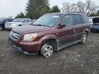 2008 Honda Pilot EXL