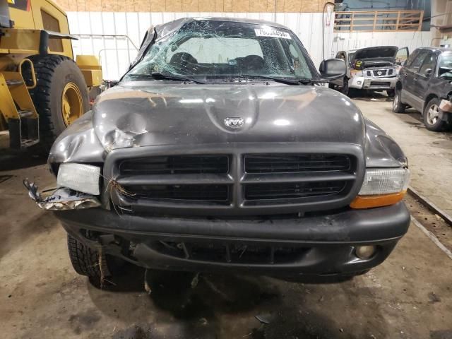 2003 Dodge Dakota Quad Sport