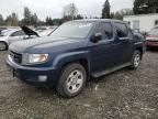 2011 Honda Ridgeline RT