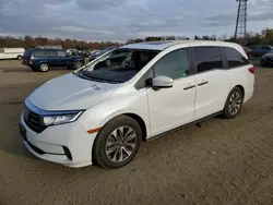 Salvage cars for sale at Windsor, NJ auction: 2021 Honda Odyssey EXL