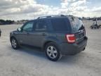 2008 Ford Escape Limited