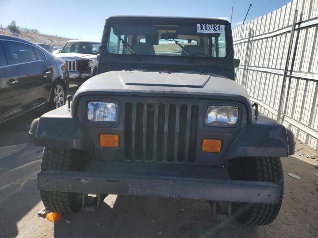 1993 Jeep Wrangler / YJ S