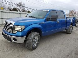 Salvage cars for sale from Copart Walton, KY: 2010 Ford F150 Supercrew