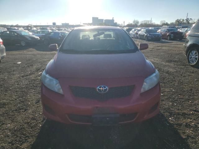 2010 Toyota Corolla Base