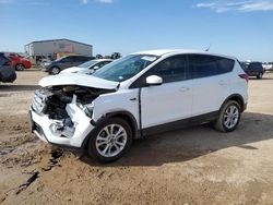 Salvage cars for sale from Copart Amarillo, TX: 2019 Ford Escape SE