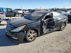 Salvage cars for sale from Copart Indianapolis, IN: 2011 Hyundai Sonata SE