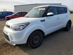 Salvage cars for sale from Copart Rocky View County, AB: 2015 KIA Soul +