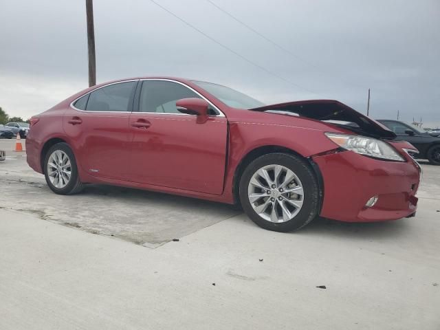 2013 Lexus ES 300H