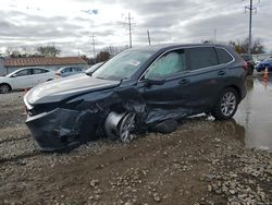 Salvage Cars with No Bids Yet For Sale at auction: 2024 Honda CR-V EXL