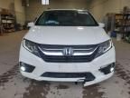 2019 Honda Odyssey EXL