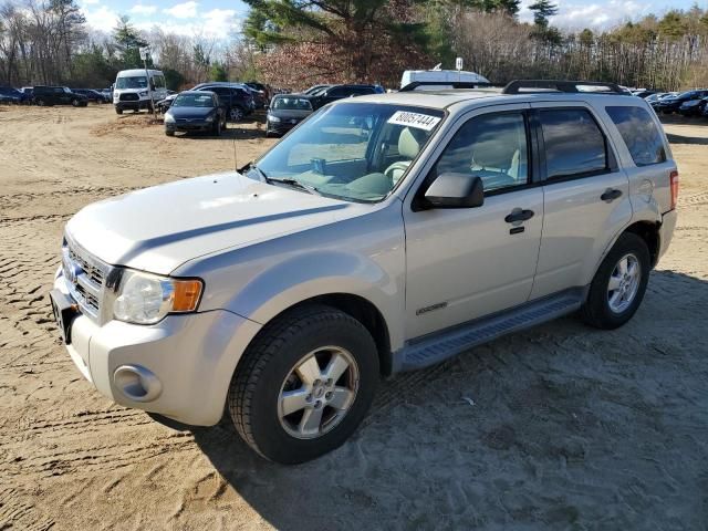 2008 Ford Escape XLT