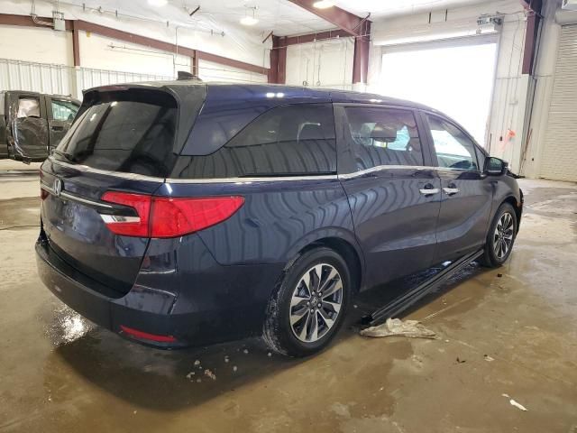 2024 Honda Odyssey EXL