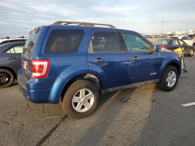 2008 Ford Escape HEV