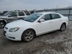 2009 Chevrolet Malibu 1LT