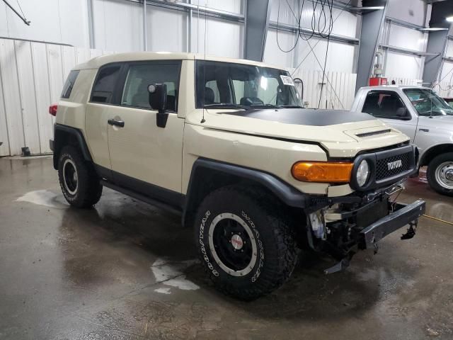 2010 Toyota FJ Cruiser