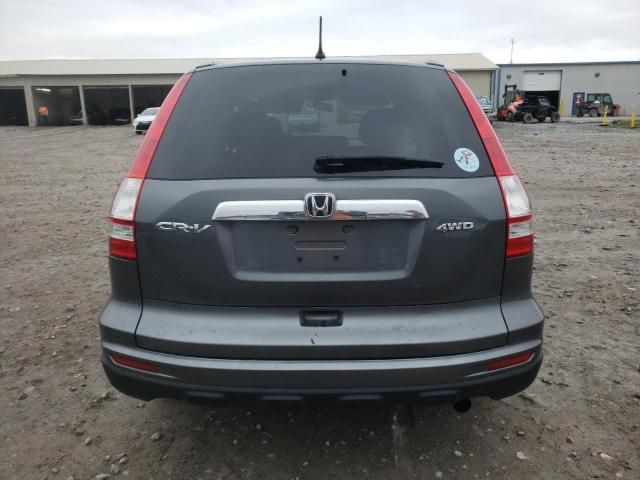 2010 Honda CR-V EX