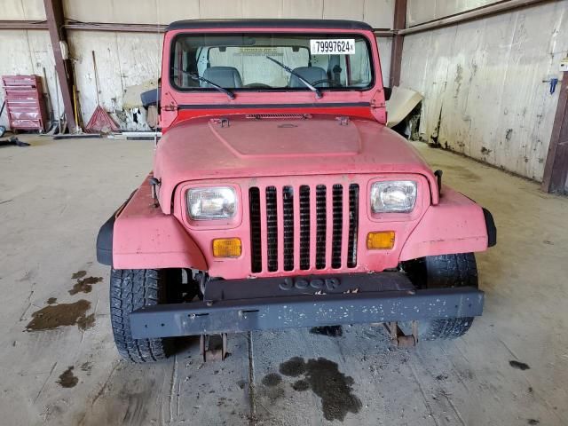 1989 Jeep Wrangler / YJ