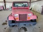 1989 Jeep Wrangler / YJ