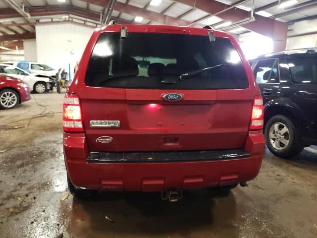 2011 Ford Escape XLT