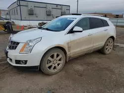 2011 Cadillac SRX Performance Collection en venta en Bismarck, ND