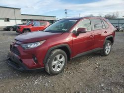 Salvage cars for sale from Copart Leroy, NY: 2021 Toyota Rav4 XLE