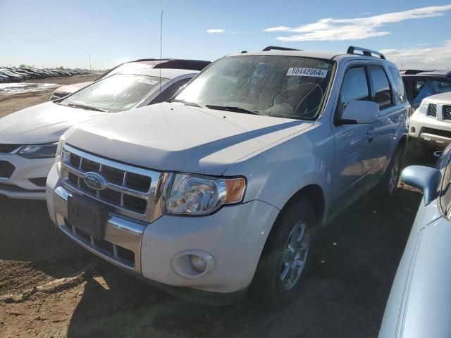 2009 Ford Escape Limited