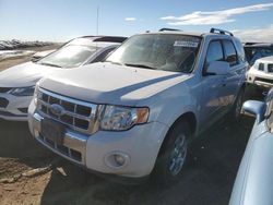 Salvage cars for sale at Brighton, CO auction: 2009 Ford Escape Limited