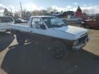 1987 Nissan D21 Short BED