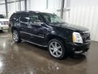 2010 Cadillac Escalade Luxury