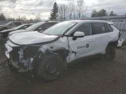 Toyota Vehiculos salvage en venta: 2024 Toyota Rav4 LE