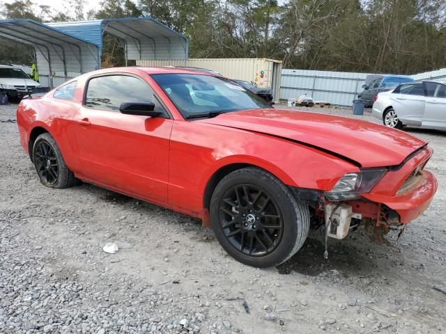 2014 Ford Mustang