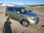 2010 KIA Soul +